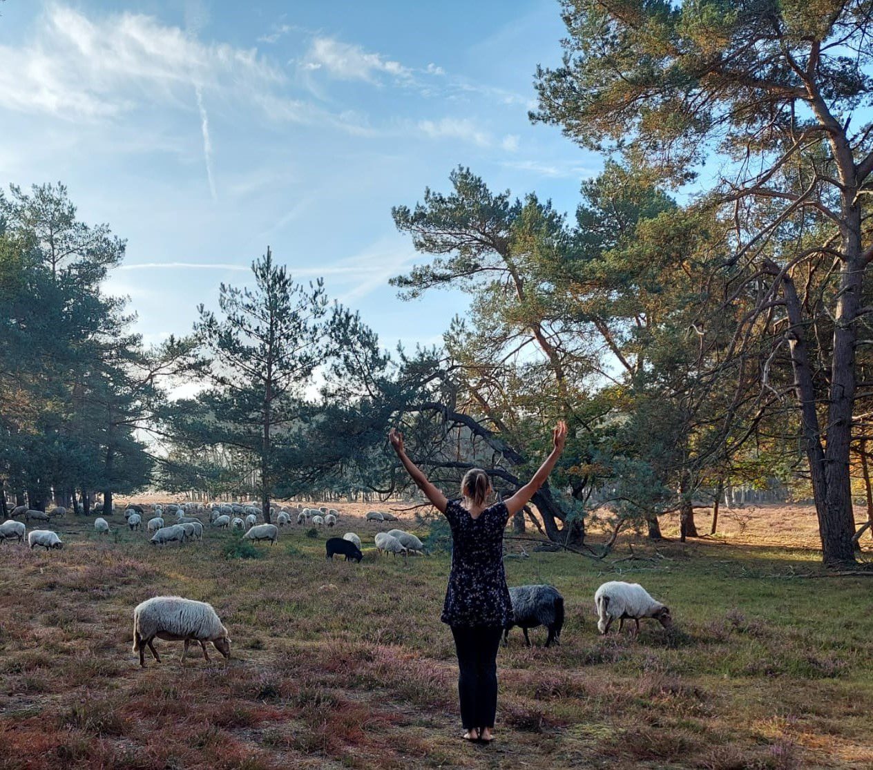 Qi gong op de hei